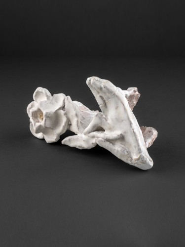 Erzsébet rózsával